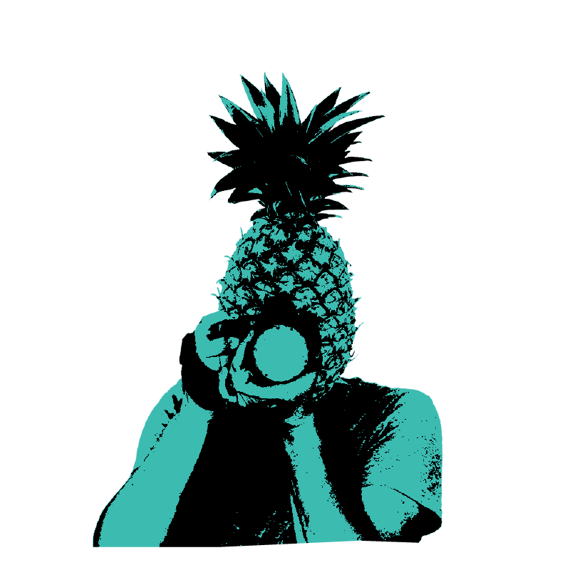 A man with a pineapple head does some engineering and science photography for a B2B company